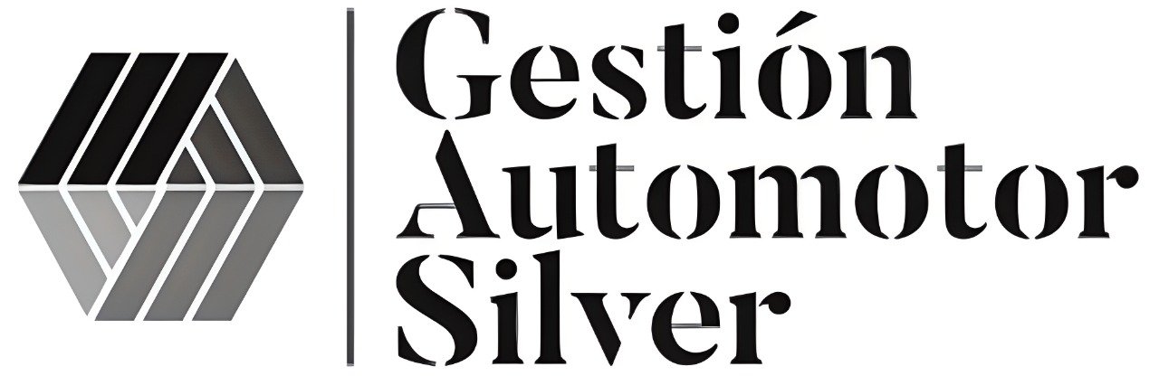 Gestion Automotor Silver