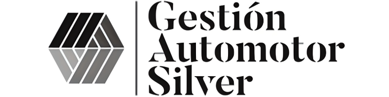 Gestion Automotor Silver