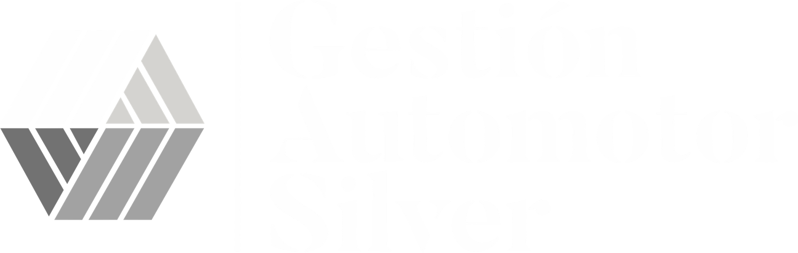 Gestion Automotor Silver