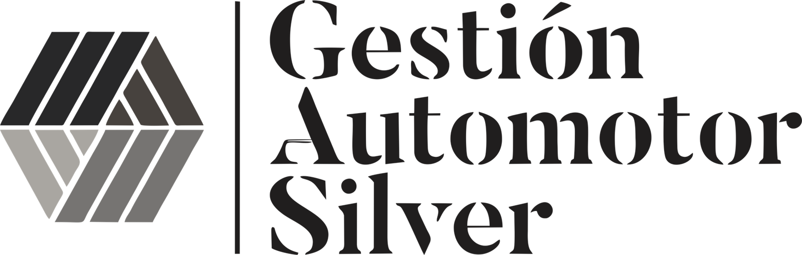 Gestion Automotor Silver